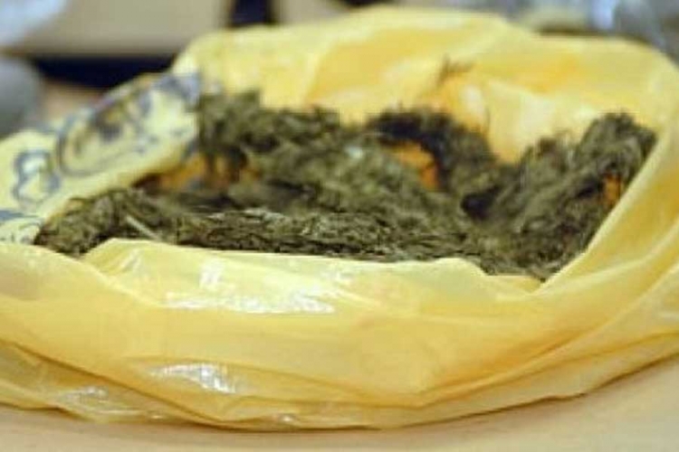 Trebinjska policija oduzela kilogram marihuane