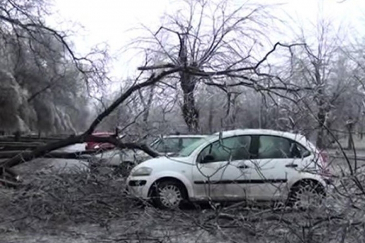 Banjaluka: Udari vjetra jači od 80 km/h, stablo iščupano iz korijena (VIDEO)