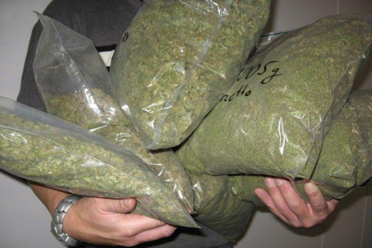 Klina: Zaplijenjeno više od 60 kilograma marihuane