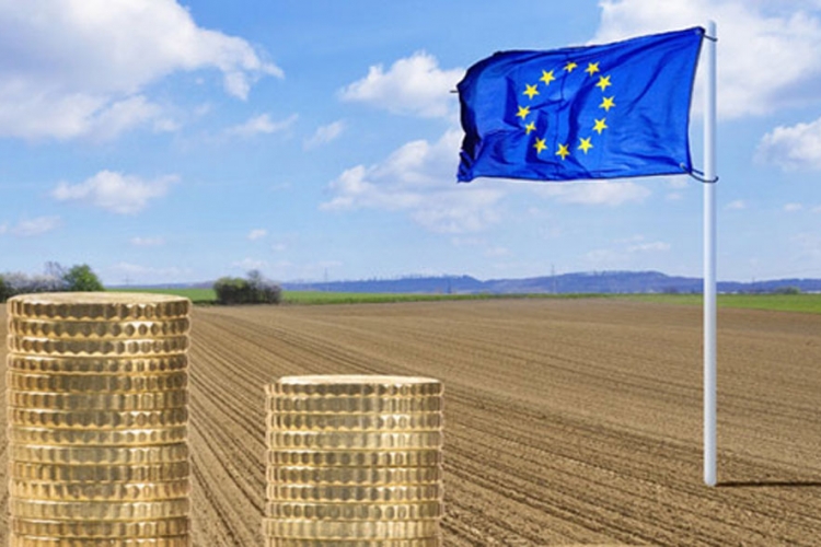 EU hoće liberalizaciju, domaća poljoprivreda pred kolapsom


