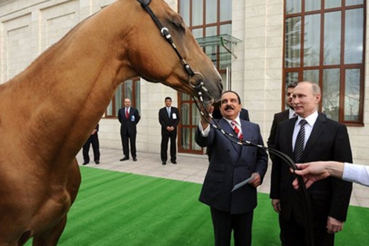 Putin poklonio ždrijepca kralju Bahreina (VIDEO)