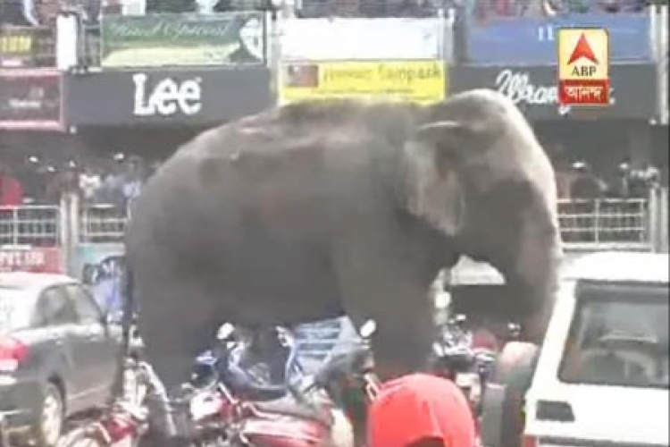 Podivljali slon porušio 100 kuća u Indiji (VIDEO)