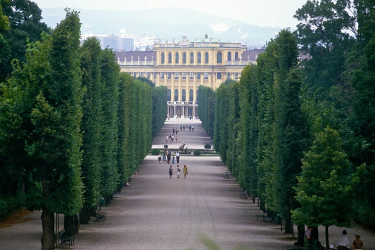Beč: Stroga zaštita za 86.176 stabala