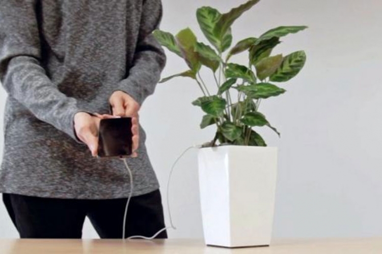 Pametne telefone ćemo puniti energijom iz biljaka (VIDEO)