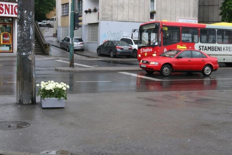 Cvijeće iz kontejnera u Dobrovoljačkoj ulici vraćeno na prvobitno mjesto