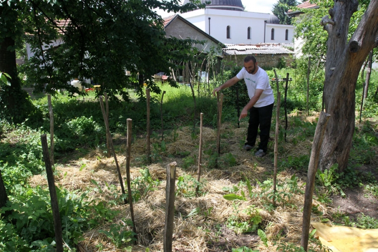 Projekat gradskih bašta: Građanima parcele za uzgoj povrća