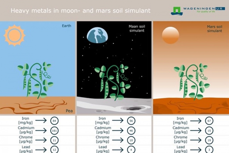 Biljke uzgojene u Marsovoj zemlji su jestive