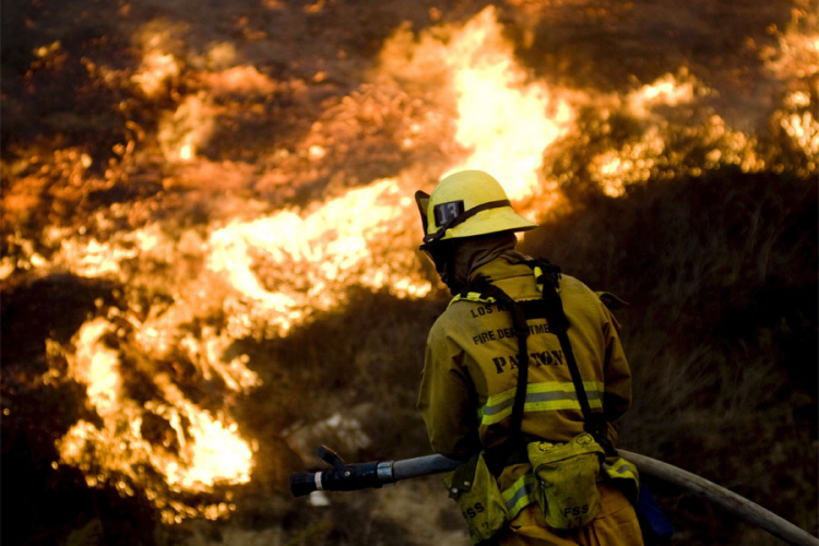 Požar u Kaliforniji iselio 1.500 stanovnika, vatrenu stihiju gasi 1.600 vatrogasaca