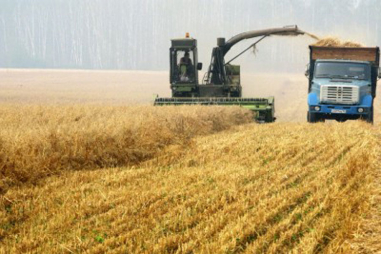 Rusija zaradila više od žita nego od oružja