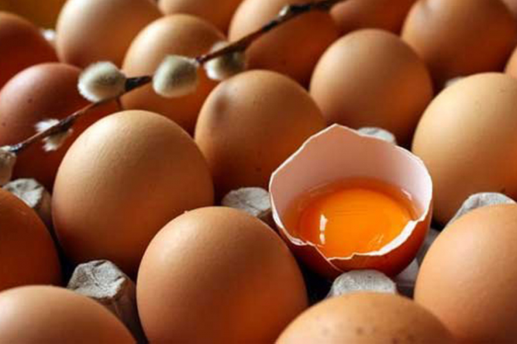 U BiH nema uvezenih konzumnih jaja iz Poljske