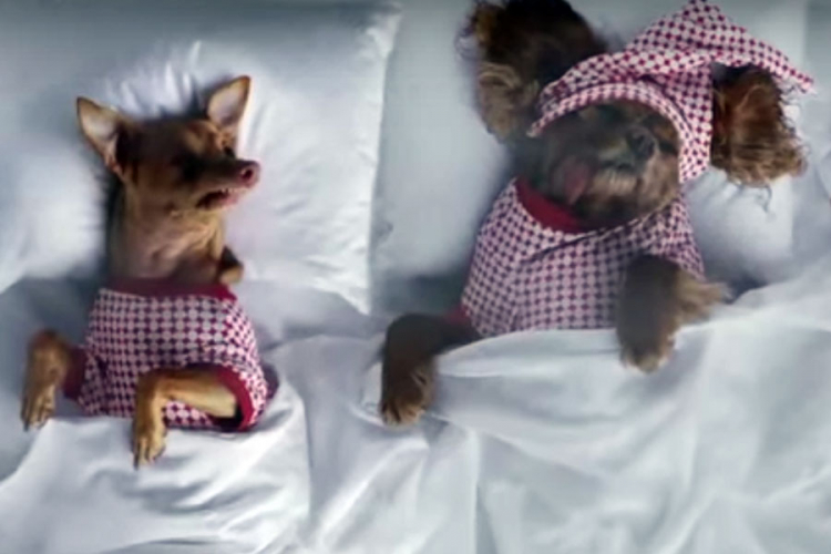 "Psi Instagrama" uradili rimejk Kanjeovog spota (VIDEO)