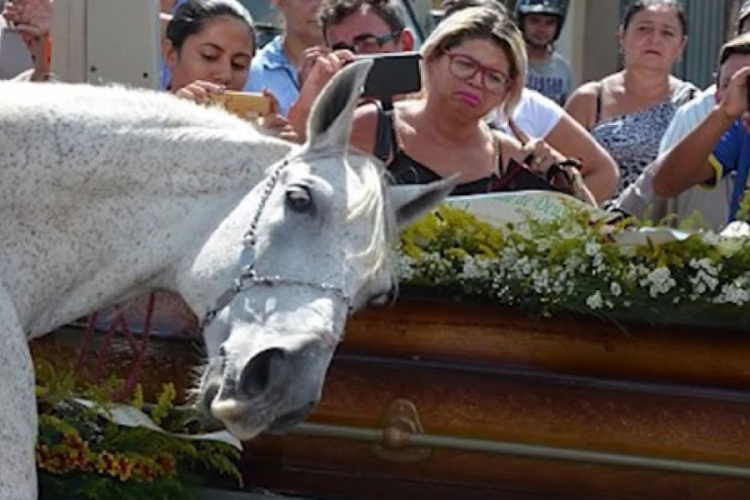 Konj "plakao" na sahrani svog vlasnika (VIDEO)