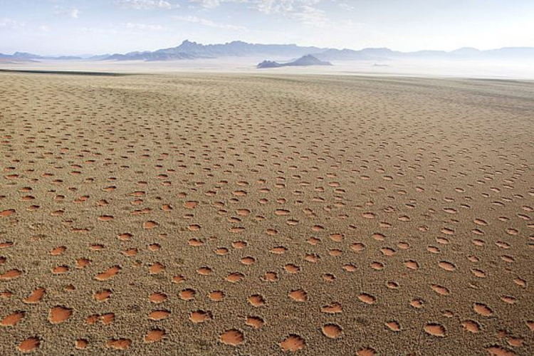 Naučnici riješili veliku misteriju pustinje Namib?