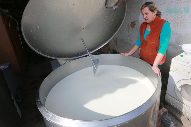 Poljoprivrednici pisali Šaroviću i Mirjaniću: Proizvodnja mlijeka na ivici propadanja