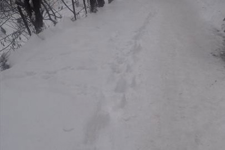 Banjaluka: Orlovački put niko ne čisti