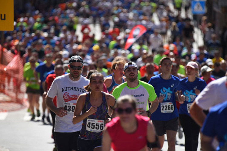 Nikolić: Rekordnih 8.000 učesnika na 30. Beogradskom maratonu
