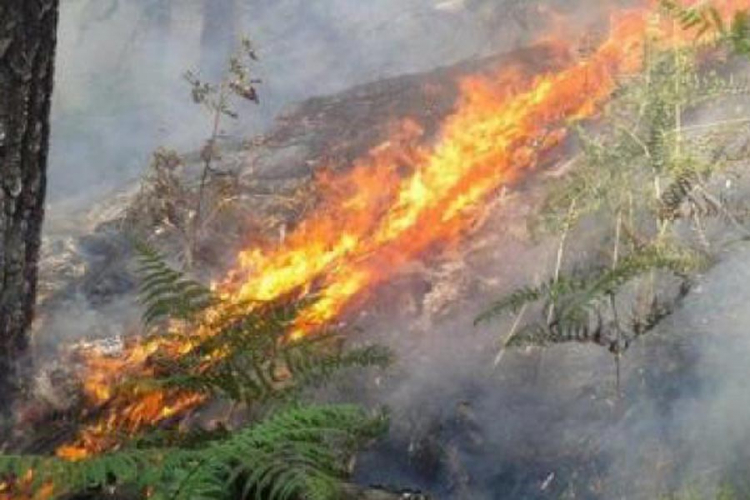 Paljenje rastinja prouzrokovalo tri požara u Banjaluci