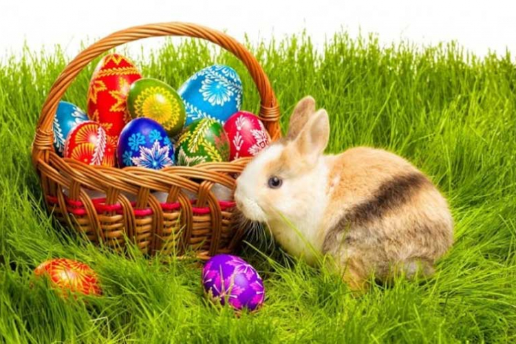 Zašto se zečevi povezuju s Uskrsom?