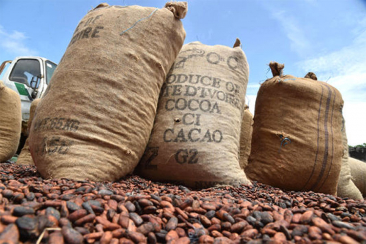 Blumberg: Pravite zalihe čokolade, cijene kakaoa će rasti
