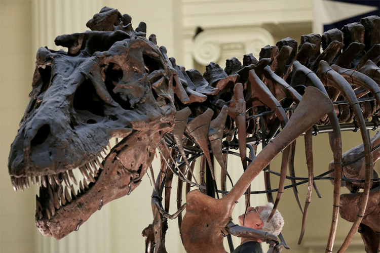 Naučnici otkrili snagu ugriza T-Rexa