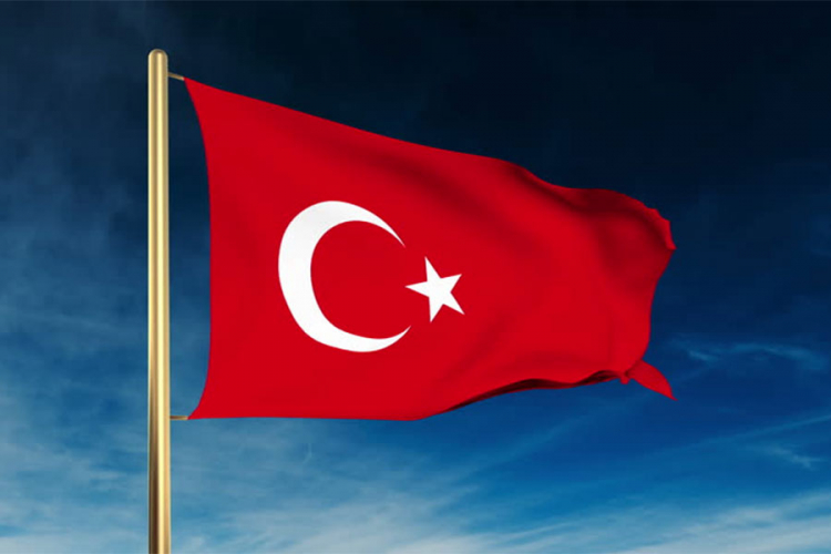 Uhapšena dva turska profesora zbog štrajka glađu