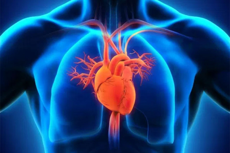 Kardiovaskularna oboljenja uzrok trećine smrti u svijetu