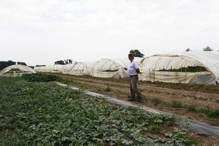 Lijevčanski poljoprivrednici u problemu: Nema radnika ni za 1.000 KM
