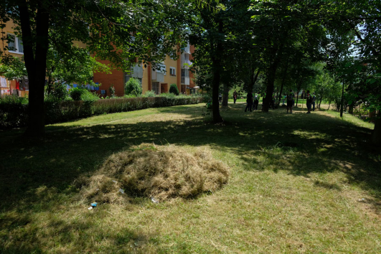 Zbog brzog rasta trave proglašena prirodna nepogoda u sarajevskoj opštini