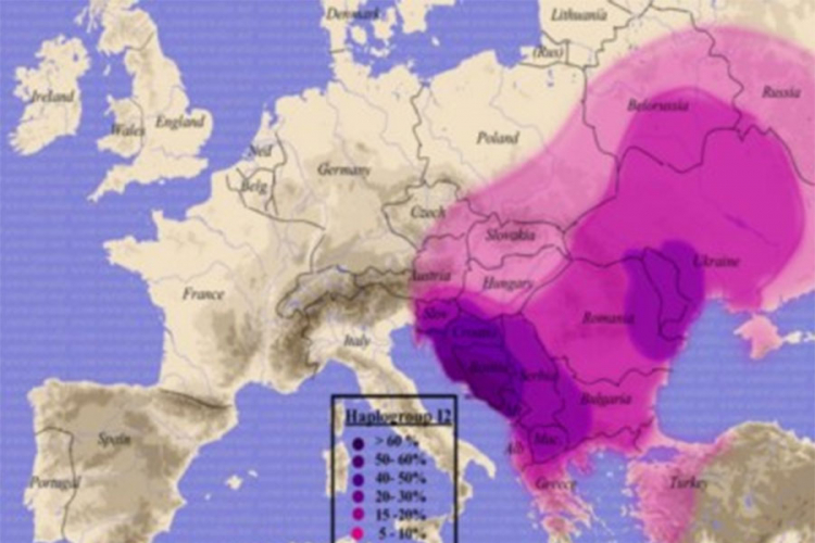 genetska mapa evrope Genetska karta