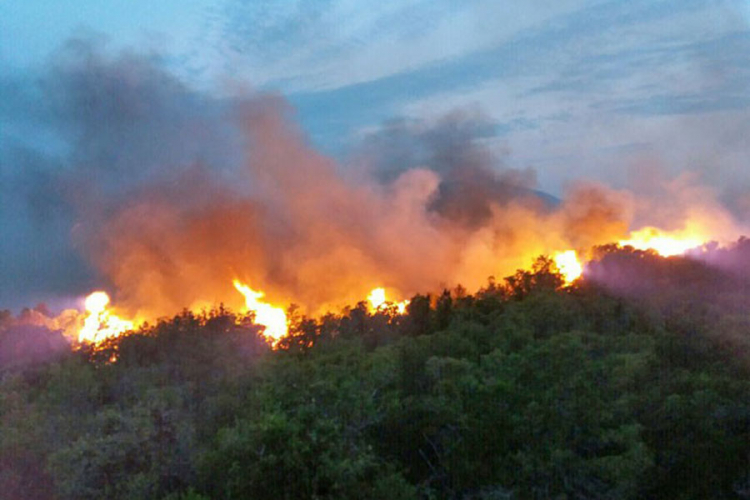 Crna Gora traži pomoć od EU u gašenjh požara