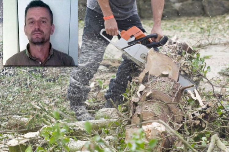 Kopranović uhapšen zbog krađe šume, oduzeli mu i drva i kombi