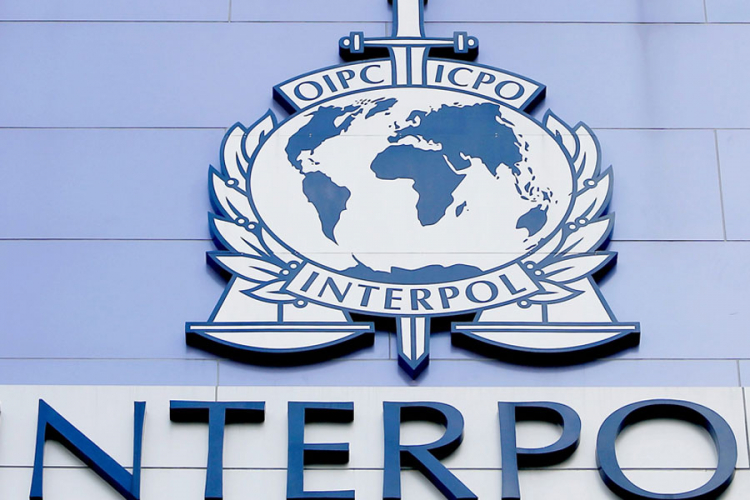 Interpol objavio imena 173 osobe obučavane za terorističke napade