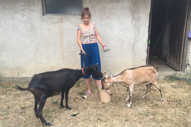 Traje humanitarna akcija za Radetiće: Samohrana majka i djeca dobili koze