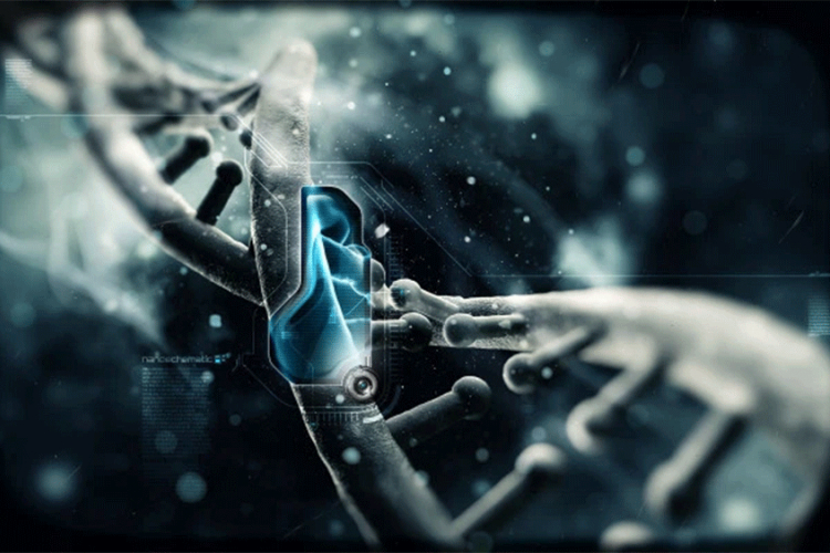 Revolucionarni poduhvat: Prvi genetski modifikovan embrion