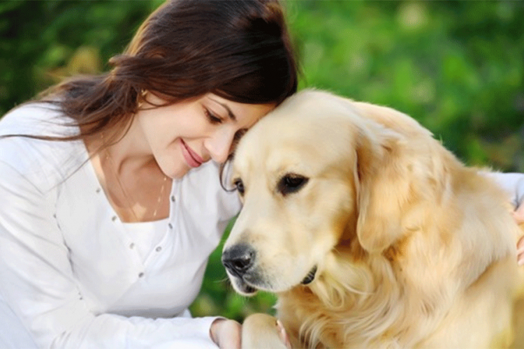 Spriječite neprijatne situacije: Kako da se pravilno upoznate sa psom