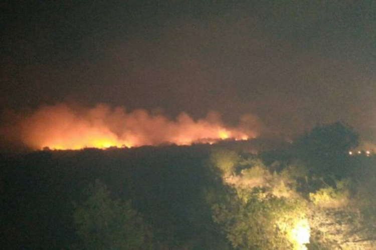 Mektić pozvao građane da od države traže nadoknadu štete od požara