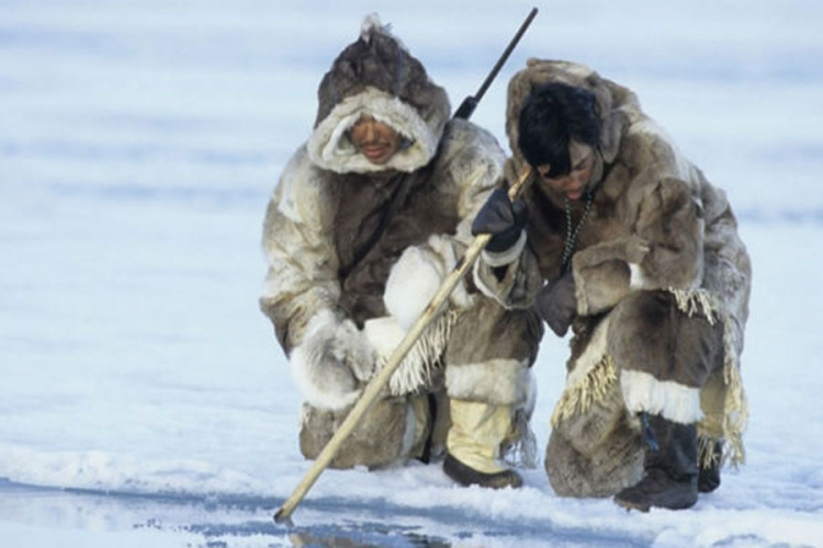Vic dana: Haso prodaje frižidere Eskimima
