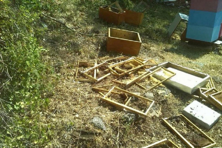 Stanovnici podgrmečkih sela u strahu: Medvjedi uništavaju košnice