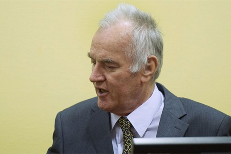 Mihajlovićeva: Vlada nije raspravljala o Mladiću