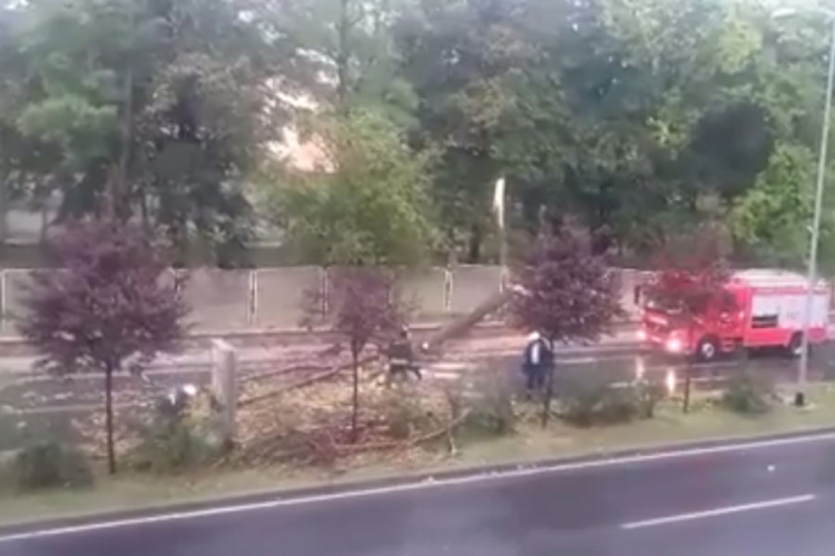 Olujno nevrijeme srušilo fasadu u Zenici, padala stabla