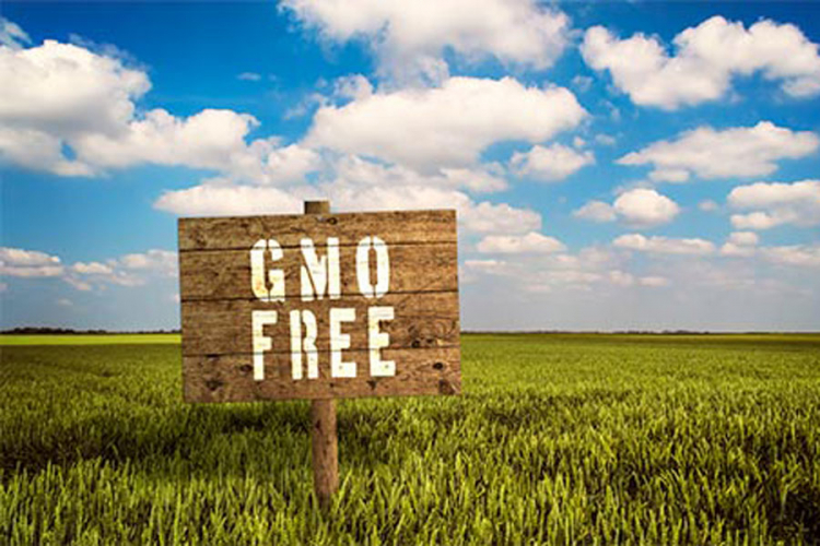Uskoro stižu GMO free oznake