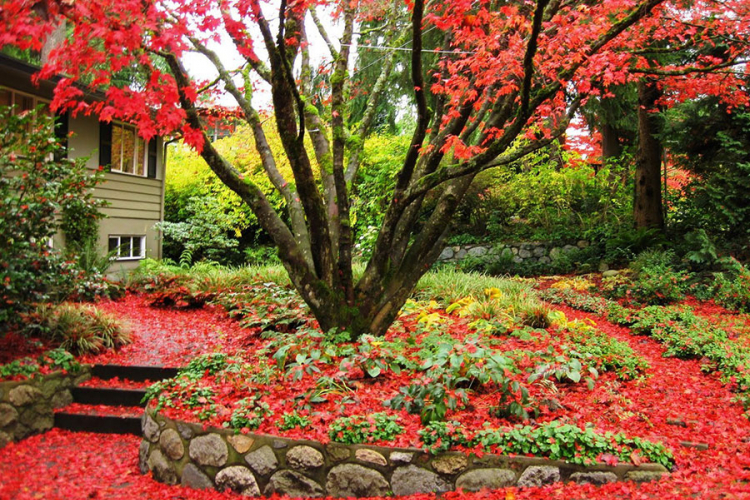 Vrijeme je za jesenje radove u vrtu: Dajte bašti nove boje i teksture
