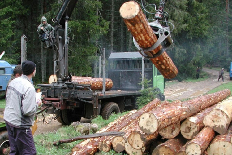 Oštetio "Šume Srpske" za 23.000 KM