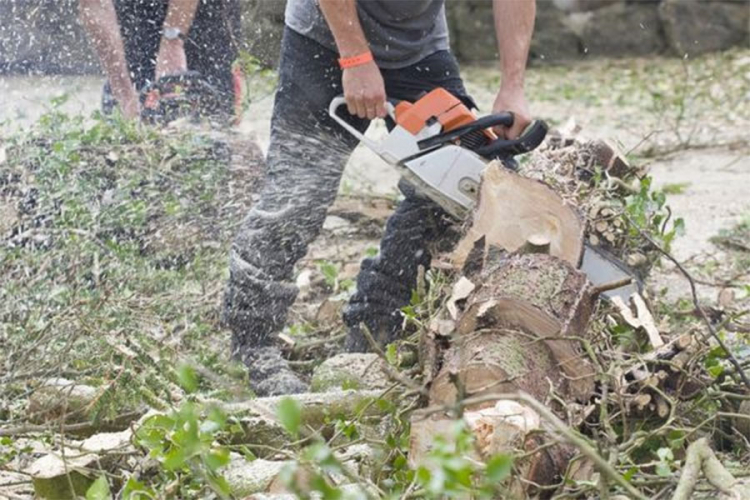 U Kalinoviku ukradeno 20 kubika šume