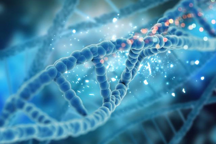 Naučnici prvi put mijenjali gen u ljudskom tijelu