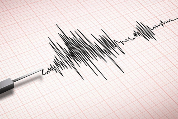 Snažan zemljotres u Tihom okeanu, nema opasnosti od cunamija