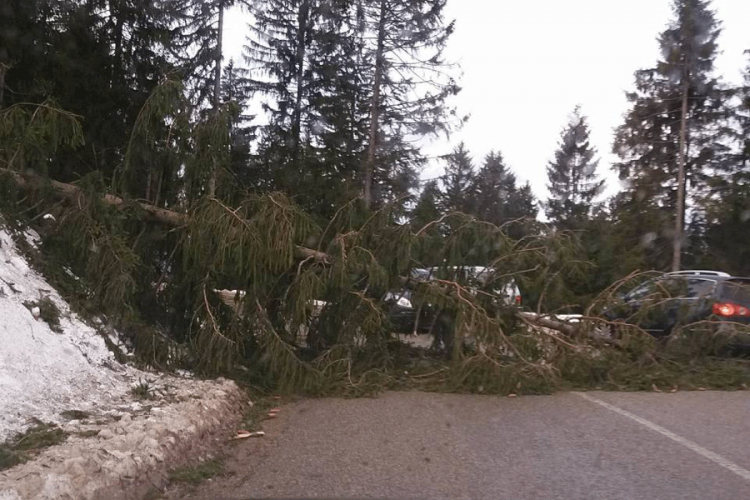 Stabla se obrušila na putu Banjaluka-Kneževo