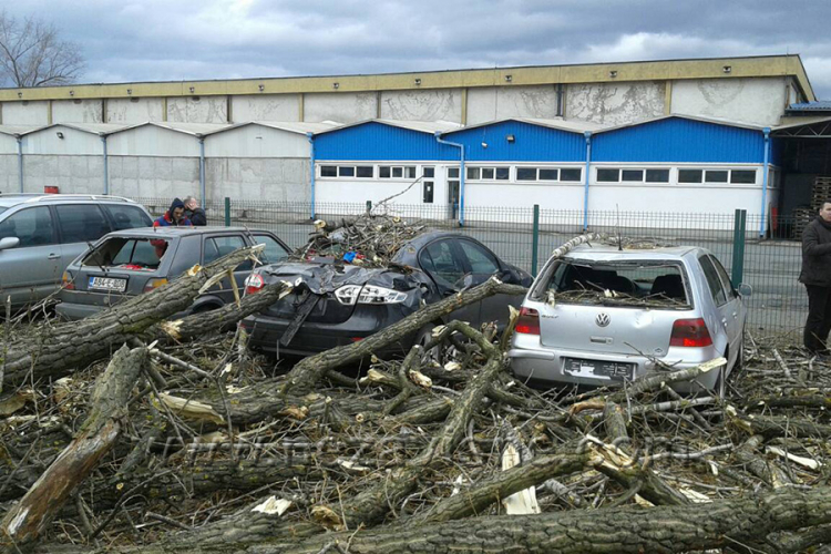 Vjetar rušio stabla u Banjaluci, uništeno više automobila
