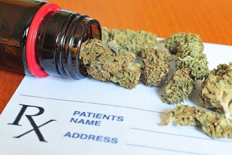 WHO potvrdila: Medicinska marihuana nema štetnih posljedica na zdravlje