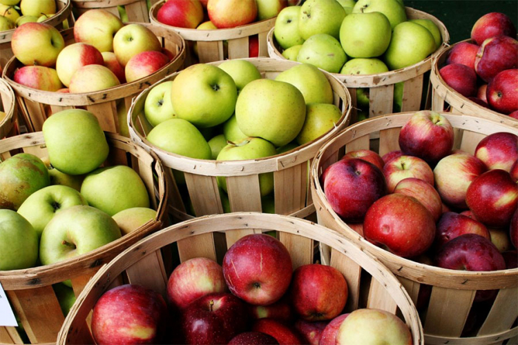 Fruct Company: Imali smo svu dokumentaciju, izvozili smo domaće jabuke